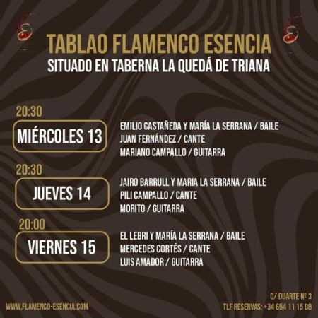 TABLAO FLAMENCO ESENCIA