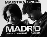Maestro Espada
