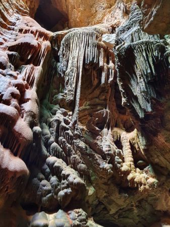 Sunday Social Walk - The jellyfish cave (San Vicente)