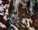 Sunday Social Walk - The jellyfish cave (San Vicente)
