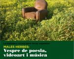 Males herbes: Vespre de poesia, videoart i música