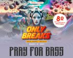 Only Breaks Vol 3