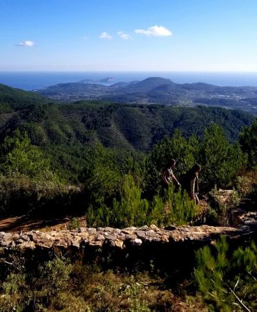 WEDNESDAY’S SOCIAL WALK