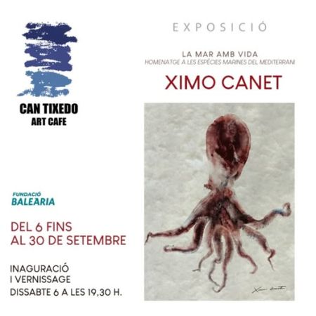 THE SEA WITH LIFE | Exhibition