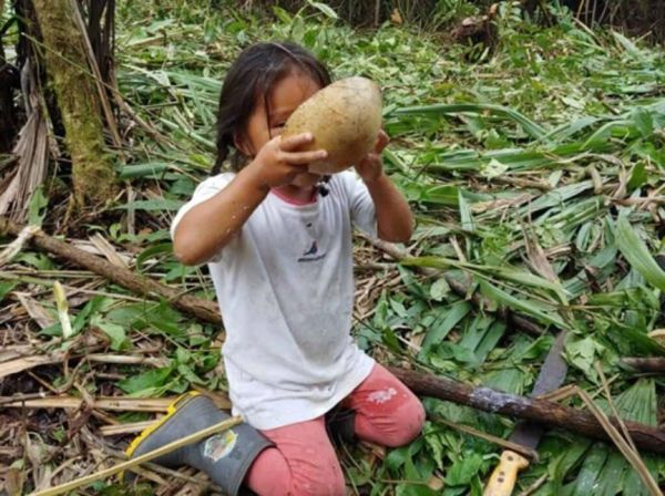 Somos lo que comemos. La despensa de… la Amazonía