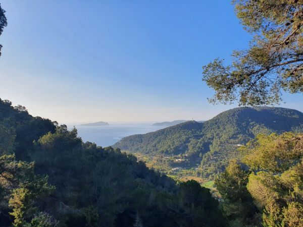 Wednesday Walk – Salt & Earth