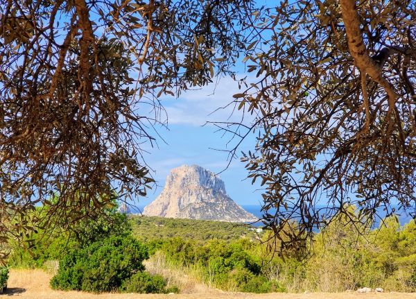 Sunday Walk – Vedra high