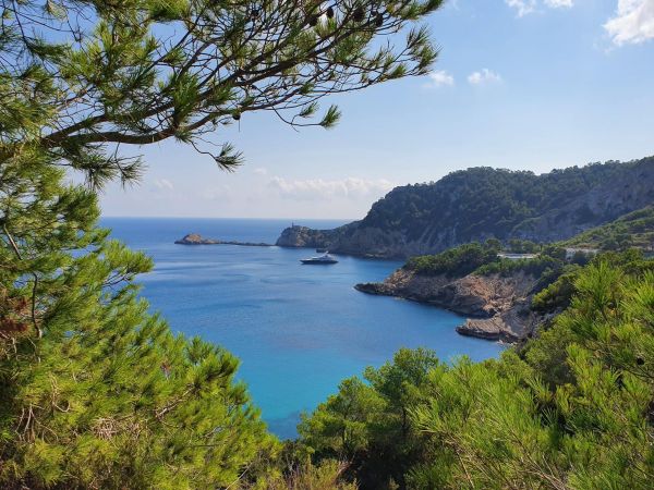 CHRISTMAS EVE WALK – TANIT'S SANCTUARY