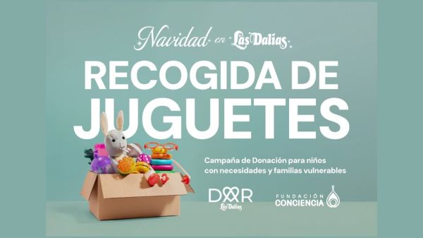 Recogida de Juguetes