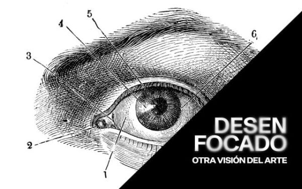 Guided tour "The Anatomy of Blur"