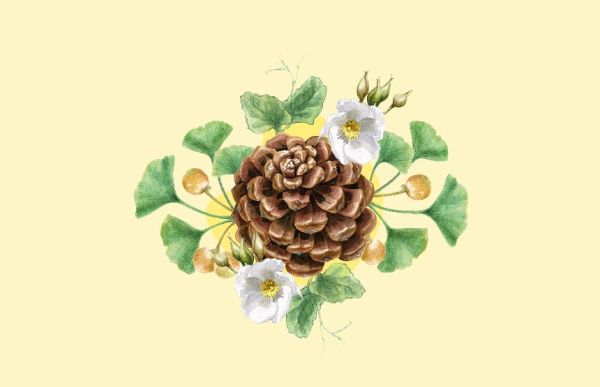 Scientific Illustration Workshop: The Vertical Garden