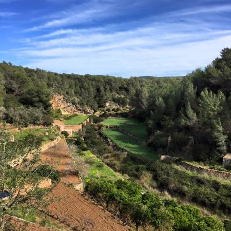 Wednesday Walk – Es Broll