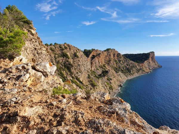 Sunday Walk – The 5 MFs