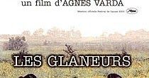 Los espigadores y la espigadora (Les glaneurs et la glaneuse, 2000)