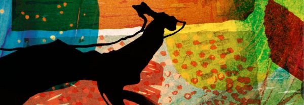 Isabel Herguera. El desig d’un lloc imaginat