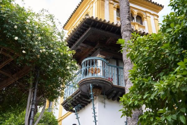 The Barber of Seville, G. Paisiello | Opera in concert