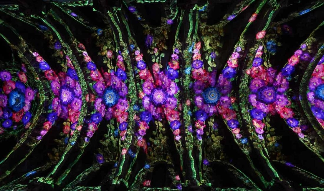 La Luz de San Nicolás