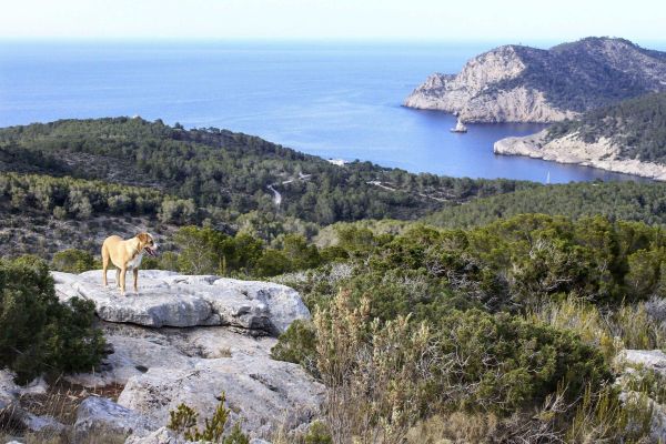 Wednesday Walk – Isla Blanca