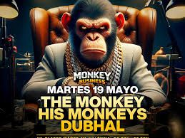 MONKEY BUSINESS SPECIAL SESSION