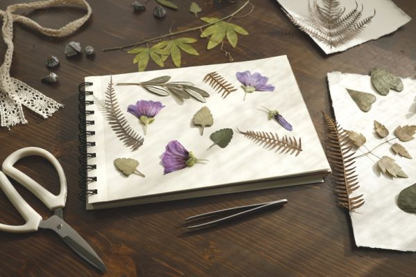 Botanical premsat and floral composition workshop
