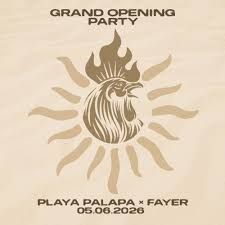 GRAND OPENING PARTY - FAYER X PLAYA PALAPA