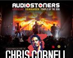 Audiostoners