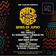 Vibe Collective pres. Raice & Vibes