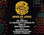 Vibe Collective pres. Raice & Vibes