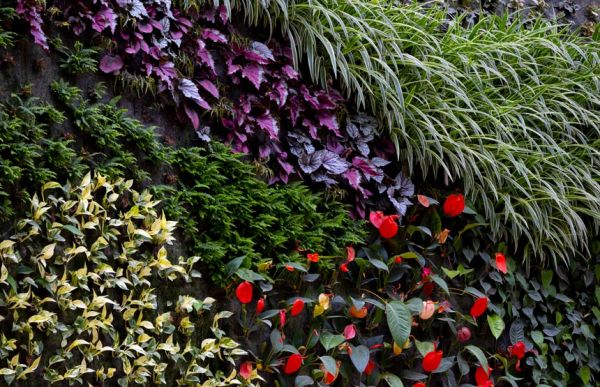 Ordered Perspectives. Visit-workshop on the Vertical Forest