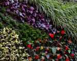 Ordered Perspectives. Visit-workshop on the Vertical Forest