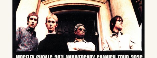 Ocean Colour Scene