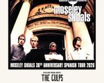 Ocean Colour Scene
