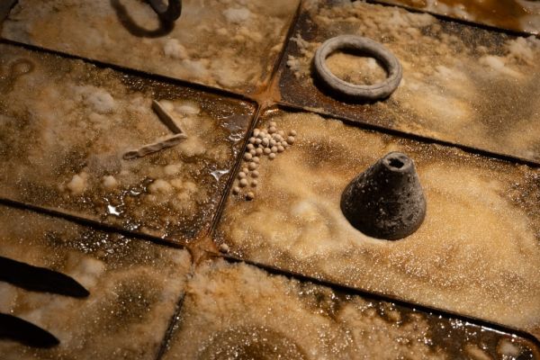 MEMORIES OF THE SOIL