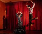 Flamenco Show
