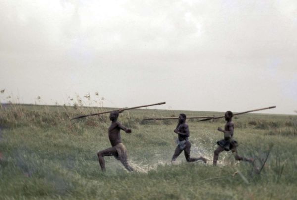 Jacinto Esteva. Sesión de cortometrajes
