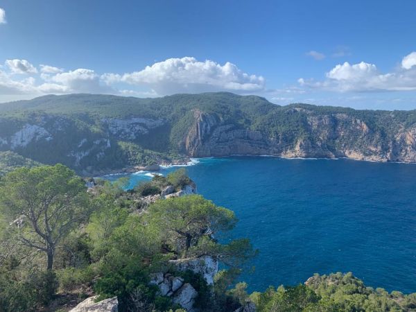 Dolphin Lookout Walk - Cross the Around the Island Group!