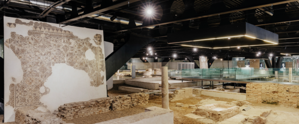 Antiquarium Hall: exhibition