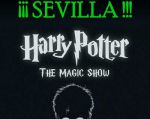 Harry Potter - The Magic Show