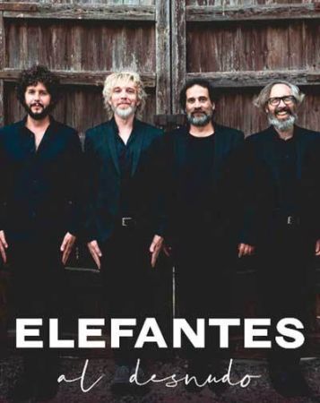 Concierto ELEFANTES