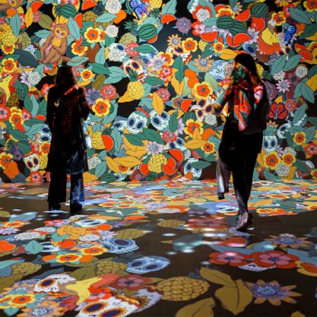 Frida Kahlo: La Vida De Un Mito