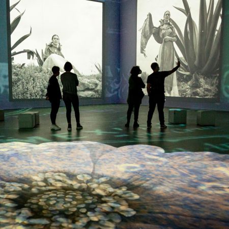 Frida Kahlo: La Vida De Un Mito