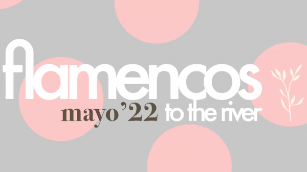 Flamencos to the river