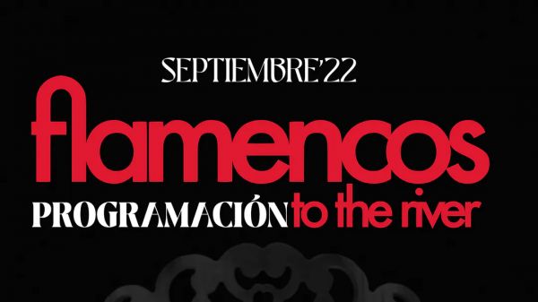 Flamencos to the river