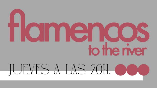 Flamencos to the river