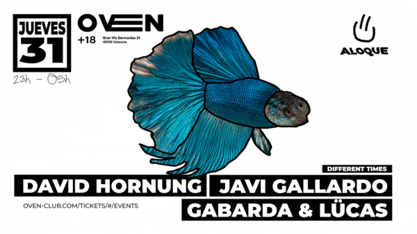 ALOQUE: JAVI GALLARDO + DAVID HORNUNG + GABARDA + LÜCAS