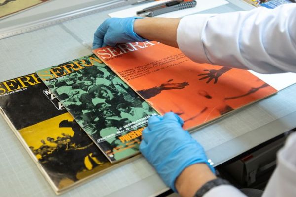 Exposició: "Jordi Fornas" - Pau Llop