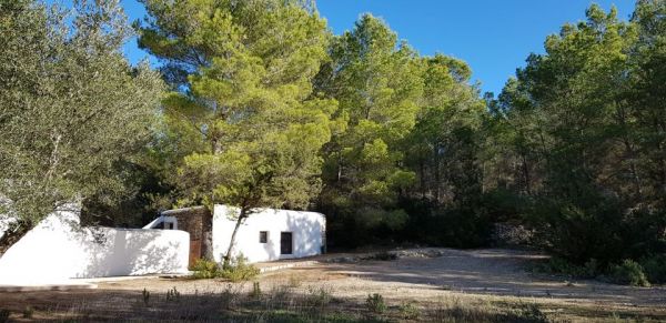 SHORT & SWEET WALK - ES AMUNTS (PAST CAN SULEYETAS)