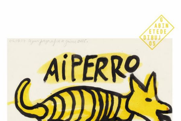 "Bidujos" - la exposición de América Sánchez