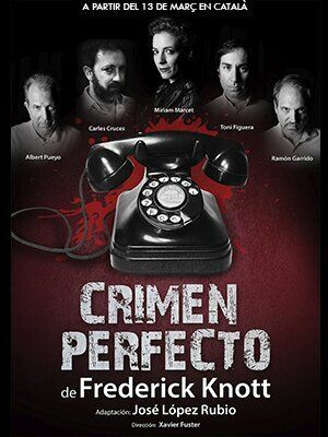 Crimen perfecto