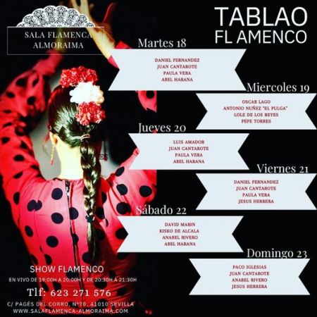 Espectáculo Flamenco